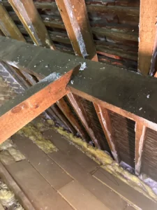 Exposed wooden roof rafters with old insulation and debris during loft inspection in Somerset