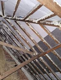 Spray foam insulation applied between wooden roof rafters in Cumbria loft space