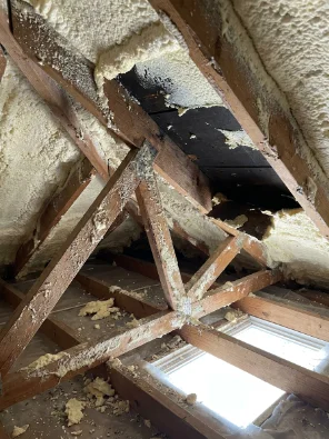 Deteriorated spray foam insulation in attic showing water damage and structural issues in roof rafters - professional spray foam removal and loft inspection services