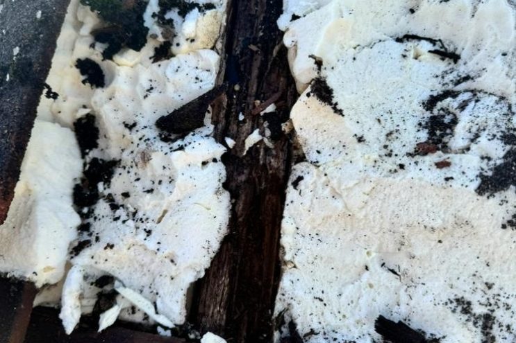 Spray foam insulation removal in Cheshire showing roof timber decay and insulation extraction, professional roofing contractors for spray foam removal and roof repairs