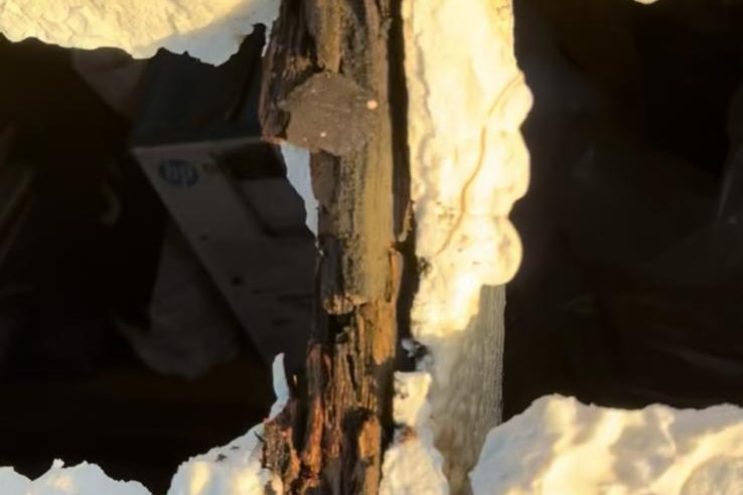 Spray foam insulation removal in Hampshire showing severe timber decay and rot between roof rafters, professional extraction and roof restoration service