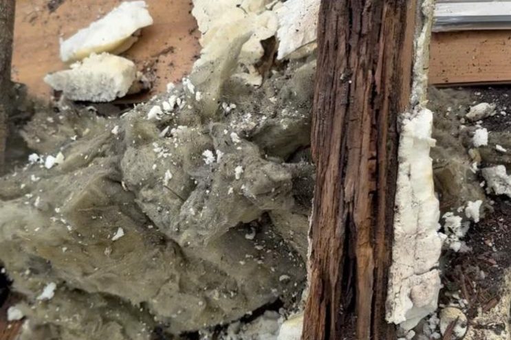 Spray foam insulation removal in Kent revealing severe timber decay and damaged roof rafter, professional extraction and roof restoration service